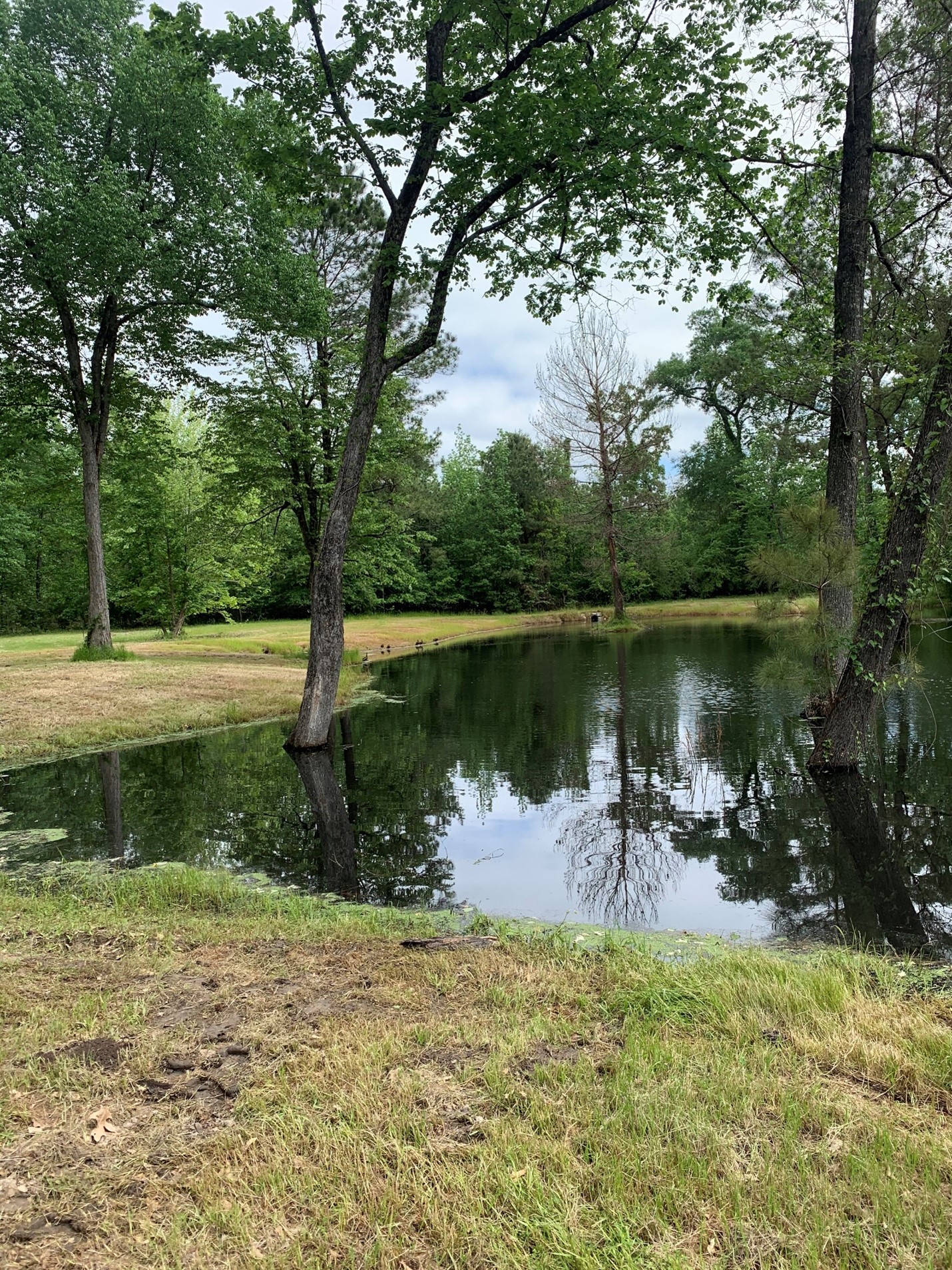 Pond & Lake Construction